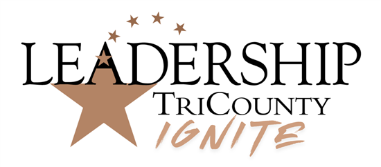 IGNITE - Leadership Development for Business